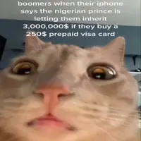 ssstiktok_1642878675