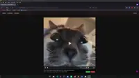 lol